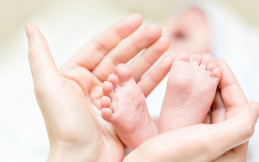 What does the New Child Support Law Mean for You?